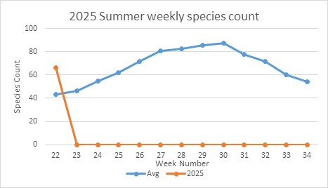 Count of species per week